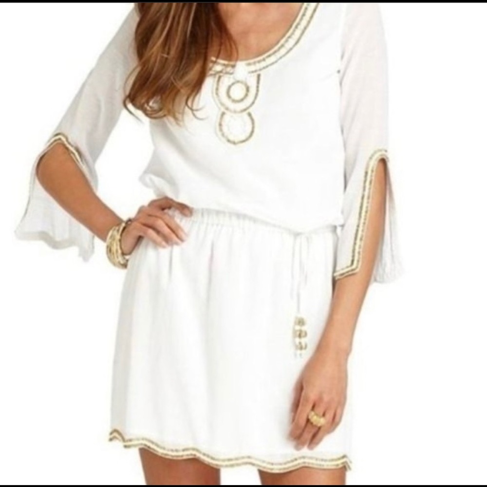 Lilly Pulitzer Delisa beaded dress